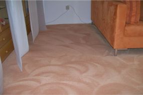 Ein gereinigter Teppichboden in einer privaten Wohnung. Sieht aus wie neu. Unsere Preise sind fair.