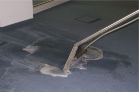 Teppichboden grau im Büro reinigen