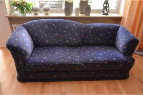 Sofa blau mit biologischen Reinigungsmittel gesäubert