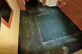 Stark verschmutzter Teppichboden mit Hundeurin