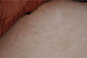 Fleck Traubensaft aus Teppichboden entfernt